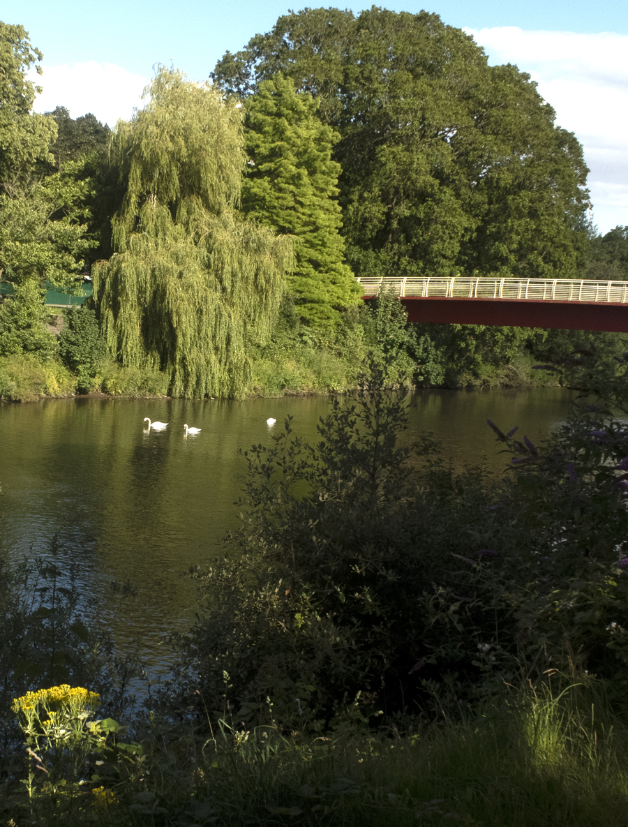 Cardiff Taff Trail