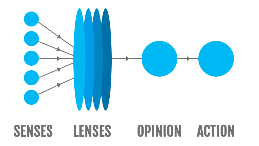 Perception Flow